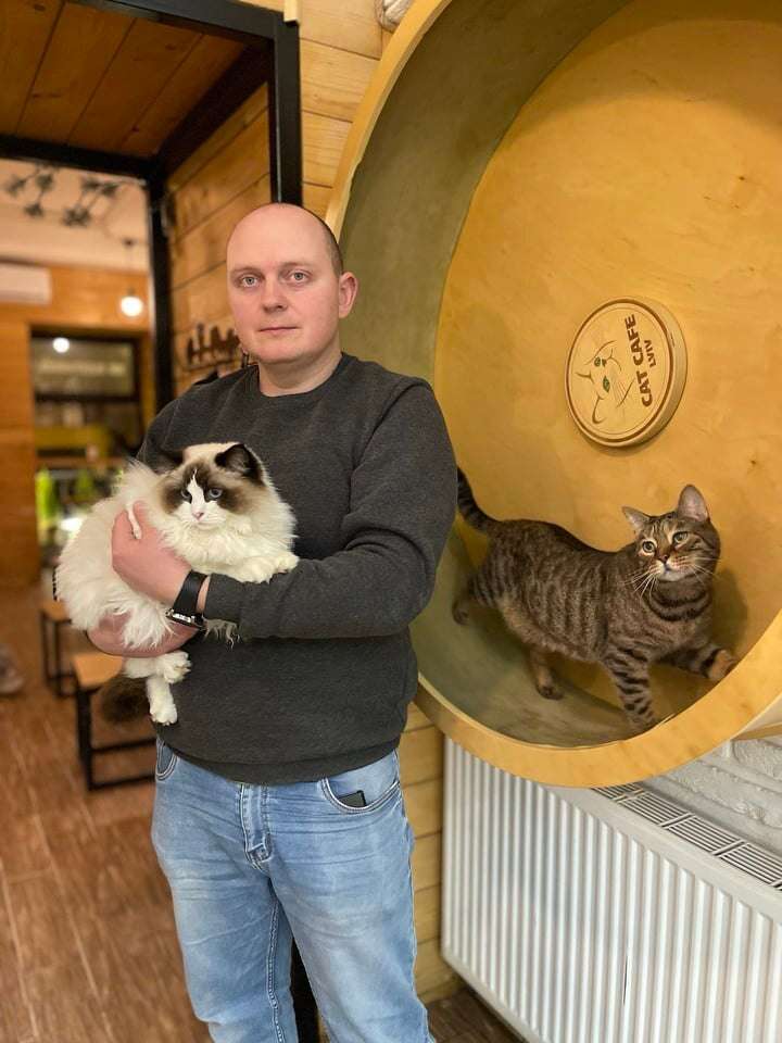 Ukrainian cat cafe