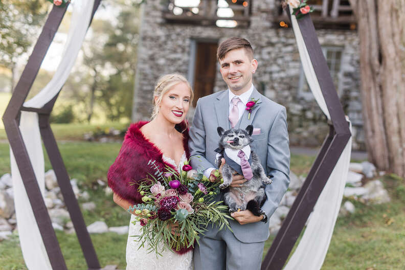 cute dog in wedding