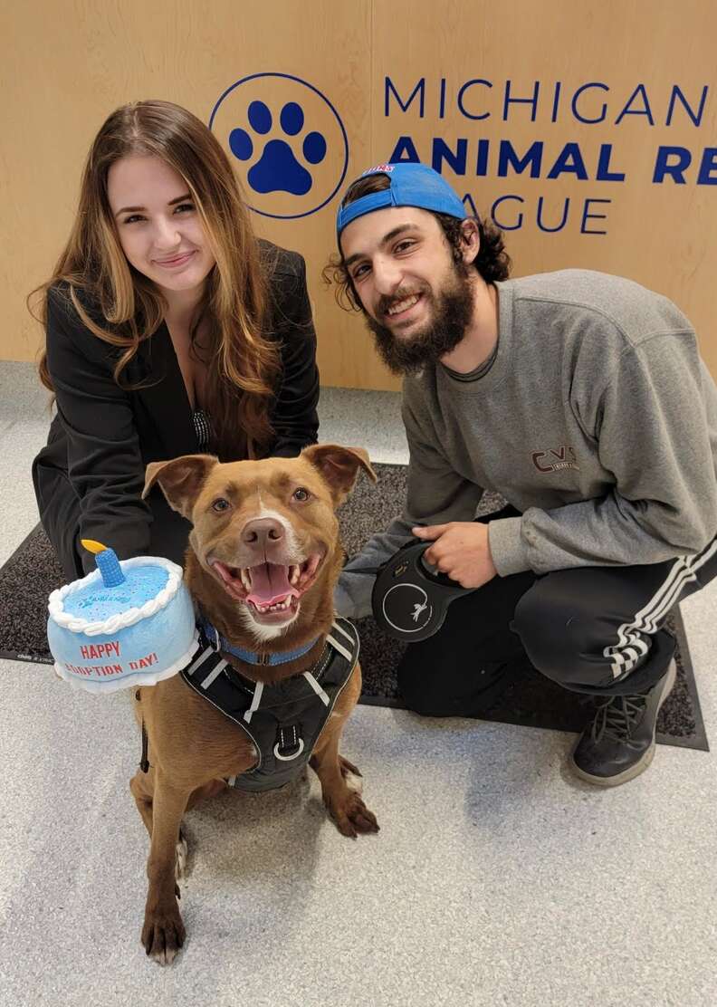 shelter dog gets adopted