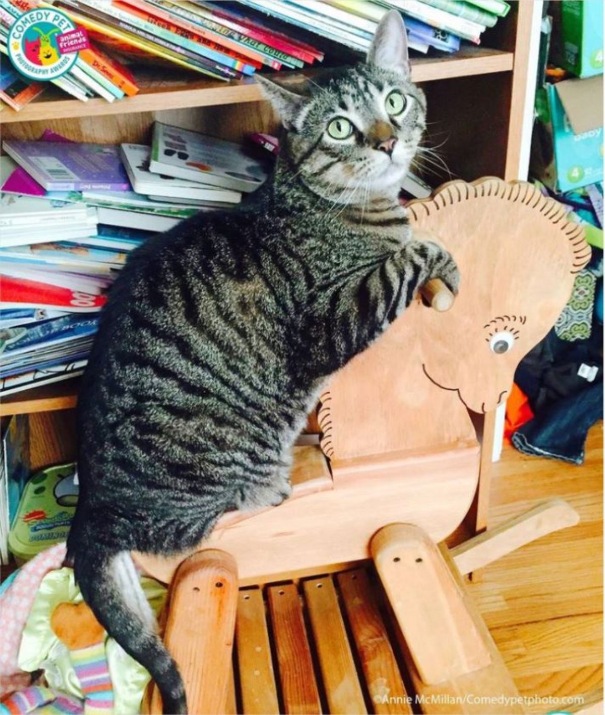 grey tabby cat perched on a wooden rocking horse