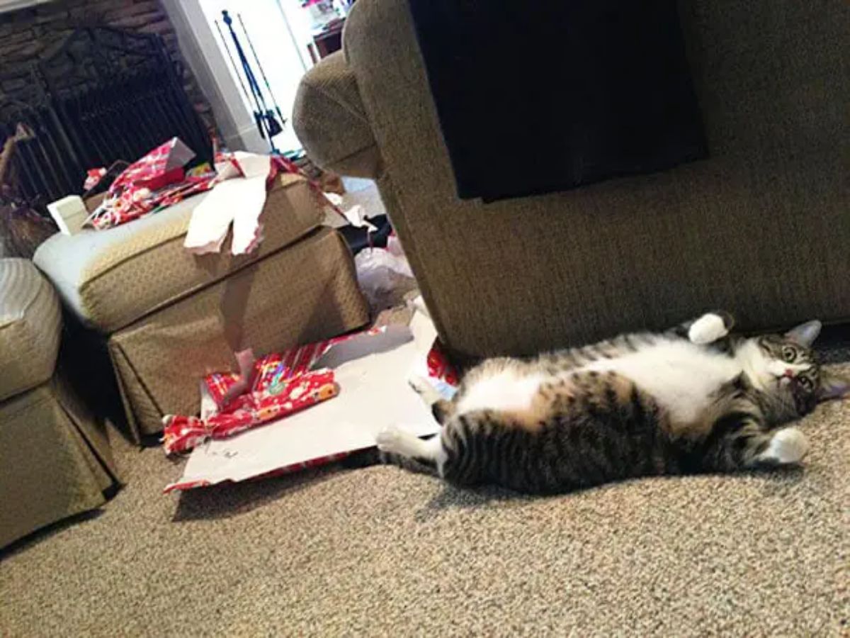 brown and white tabby cat laying belly up on brown carpet withripped open red and patterned wrapping paper by its feet and on a brown ottoman