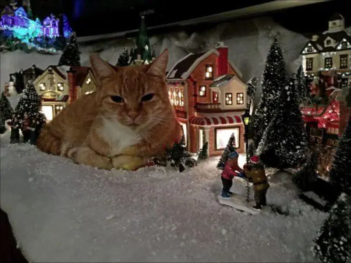 orange and white cat laying in a model of a christmas town toppling over some tiny christmas tree