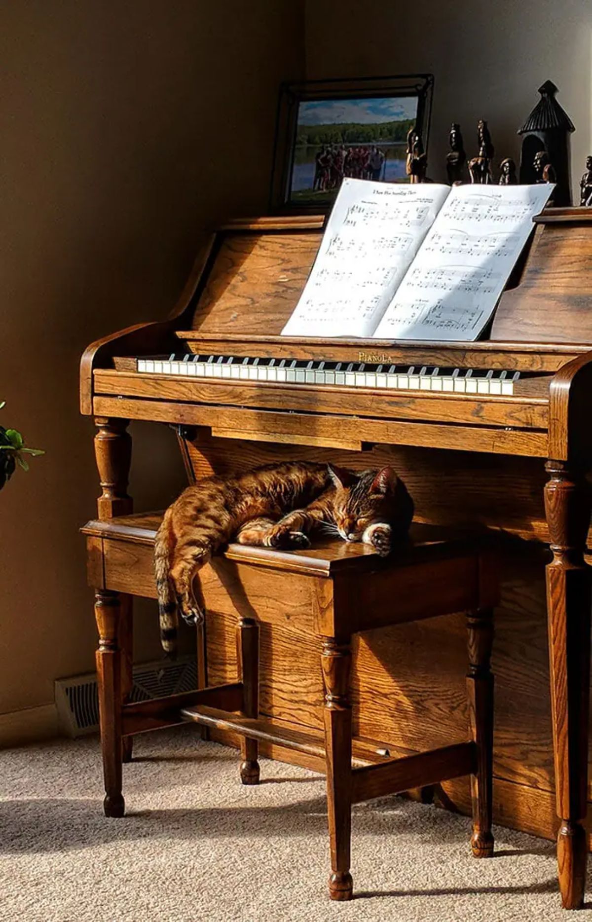 brown tabby cat laying on a wooden piano bench under a brown piano with a music book open