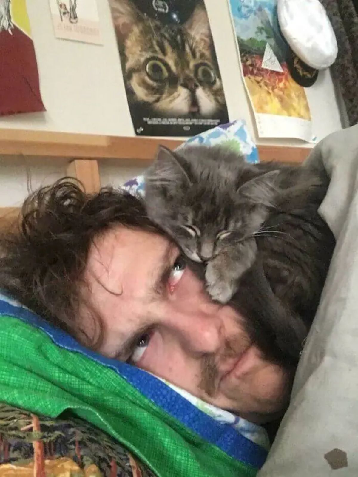 grey cat sleeping on a man's face with the man sleeping sideways and frowning up at the cat