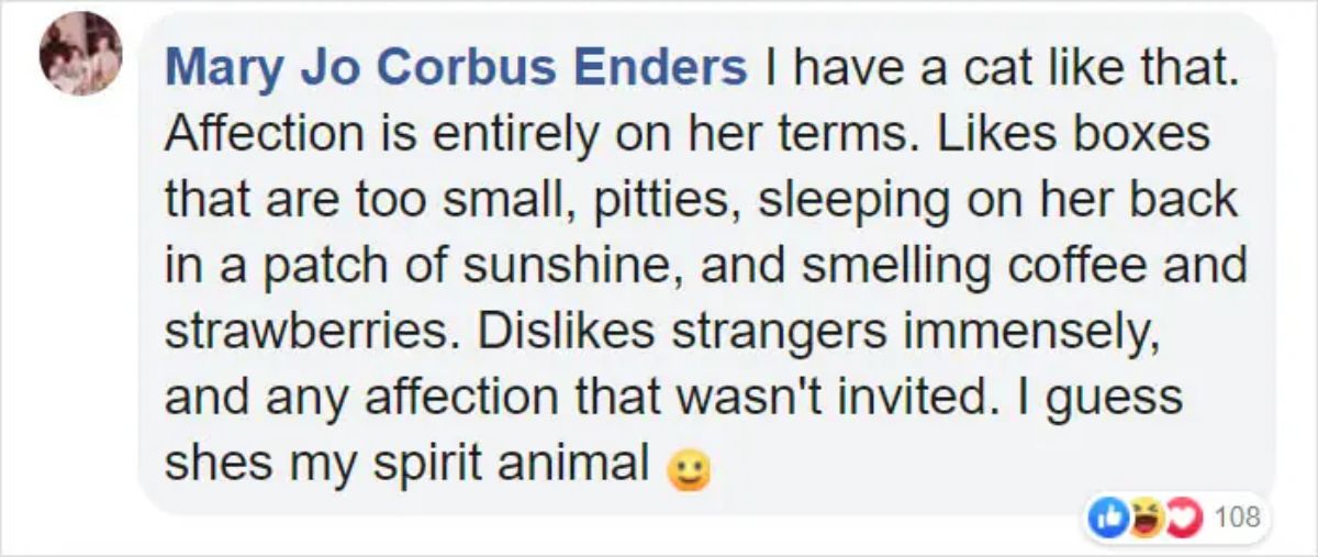 facebook comment mary jo corbus enders