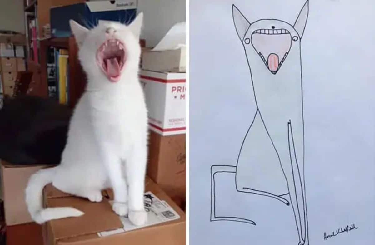 2 photo and cartoon images of a white cat yawning