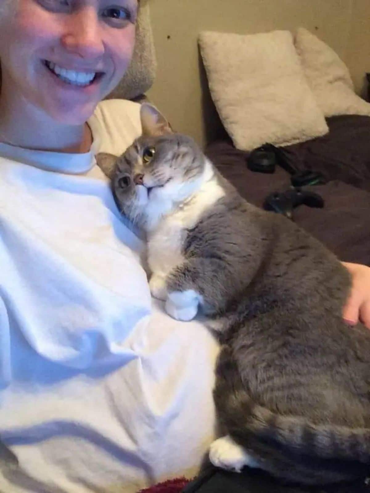 grey and white cat laying on a woman and looking lovingly up at their face