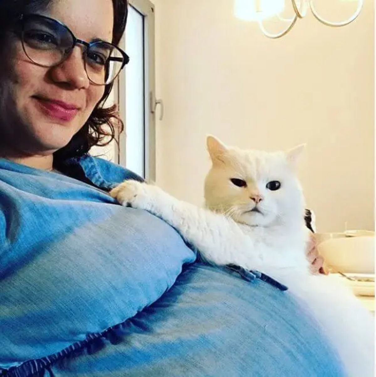 white cat holding onto a pregnant person laying in bed