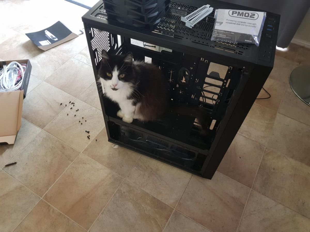black and white cat sitting inside a black cpu on the floor