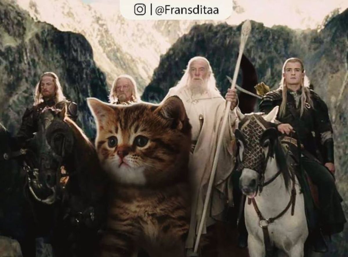 giant photoshopped brown and white tabby kitten in front of characters from The Lord of the Rings