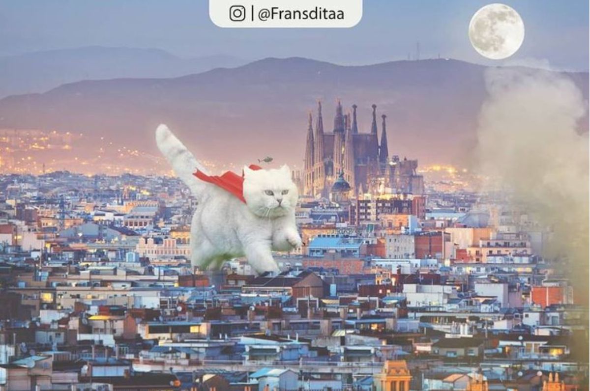 giant photoshopped white cat running through a city wearing a red cape on its back