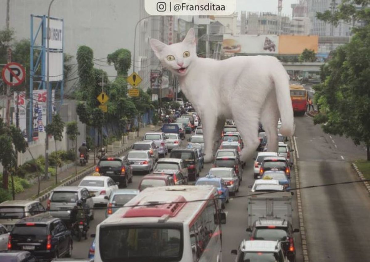 giant photoshopped white cat standing in the middle of traffic and looking back with a grin