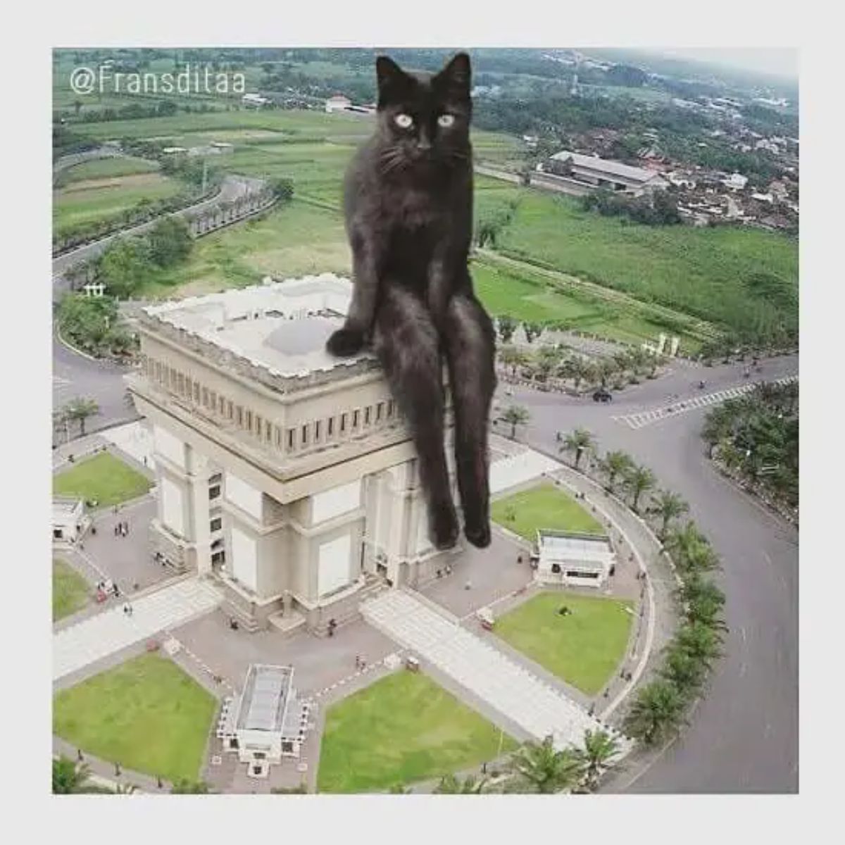 giant photoshopped black cat sitting on a white building with its back legs falling over the edge