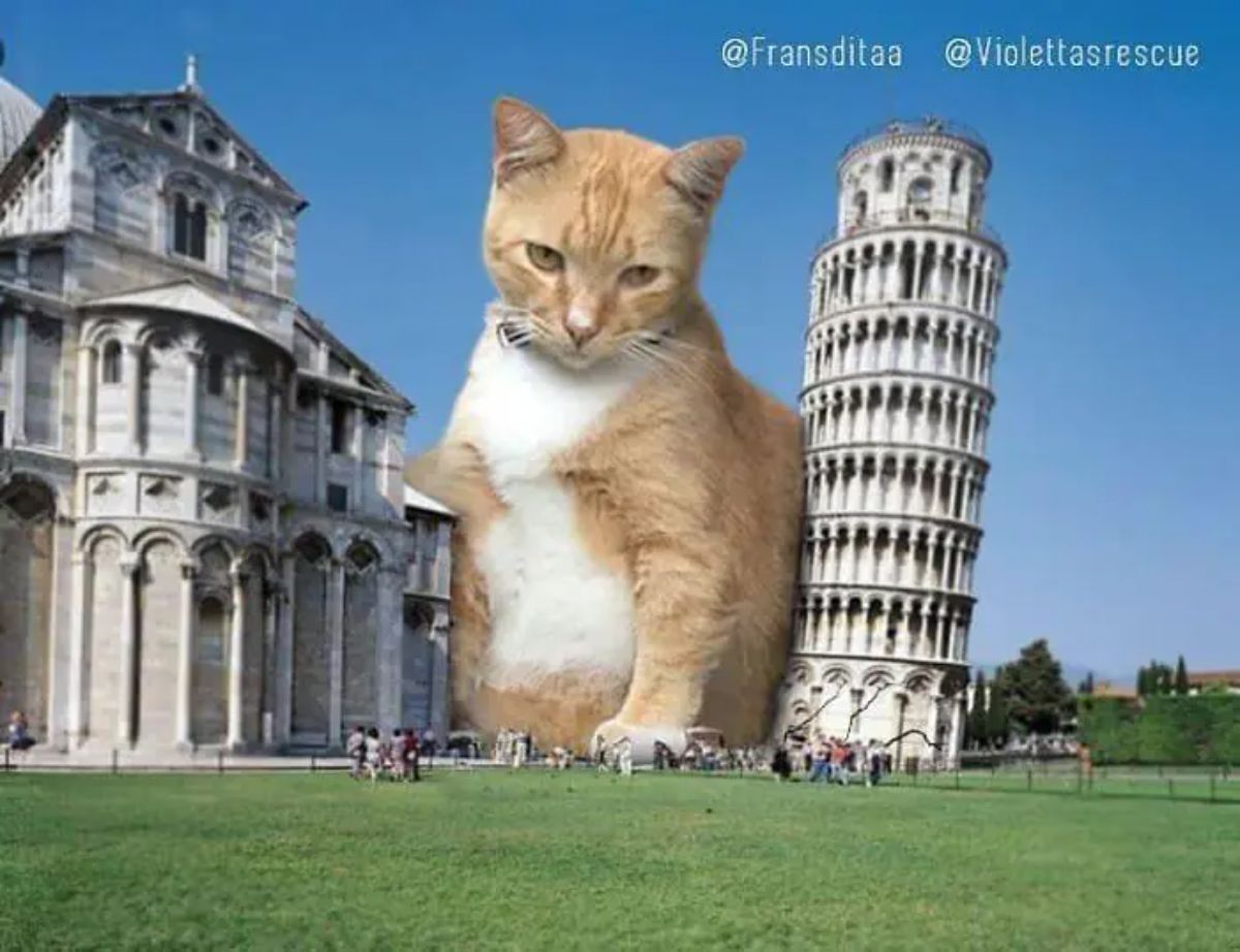 giant photoshopped orange and white cat sitting on grass and leaning against the leaning tower of pisa while a crowd of people watches