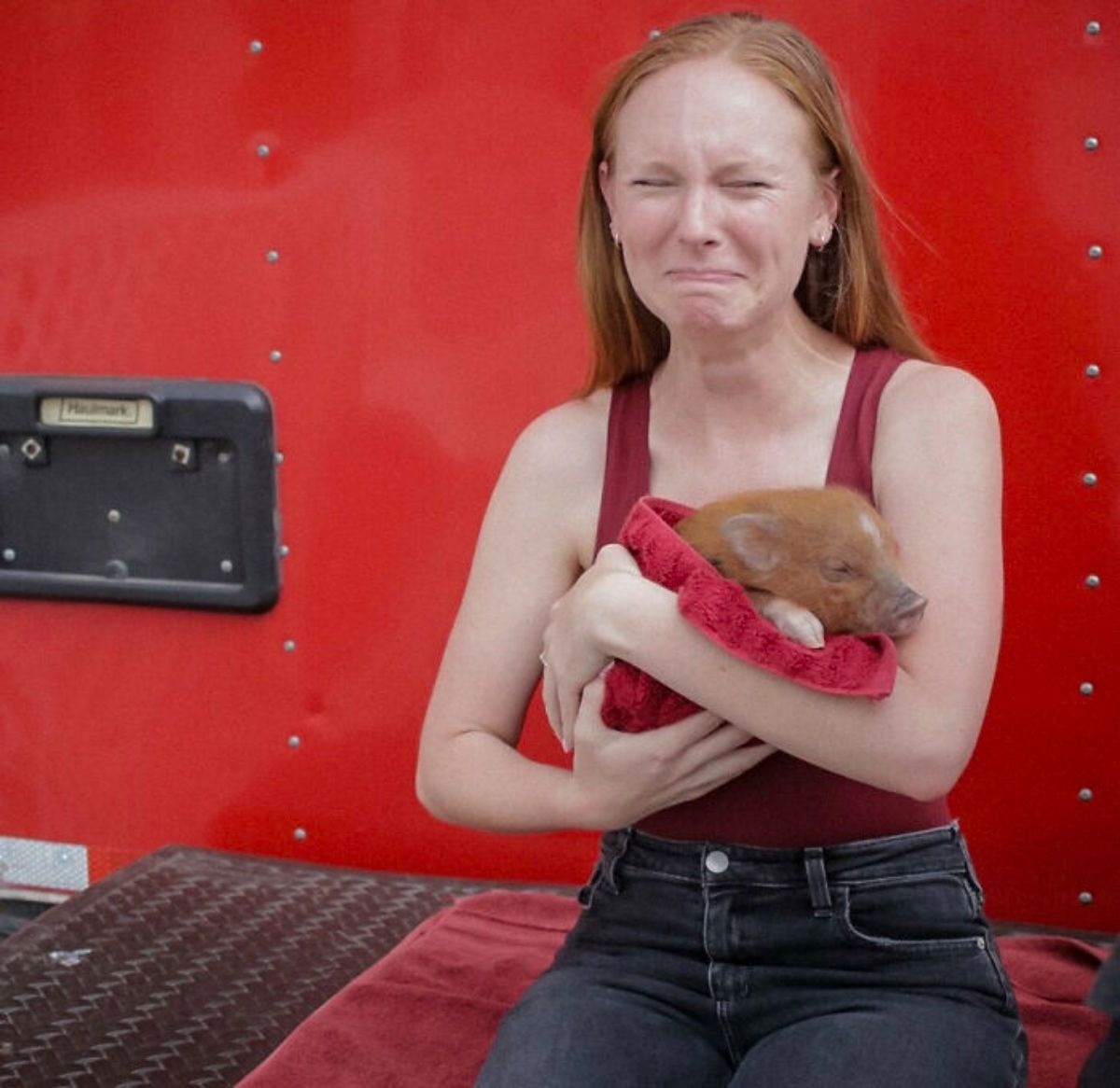 brown piglet wrapped in a red blanket being held by a crying woman