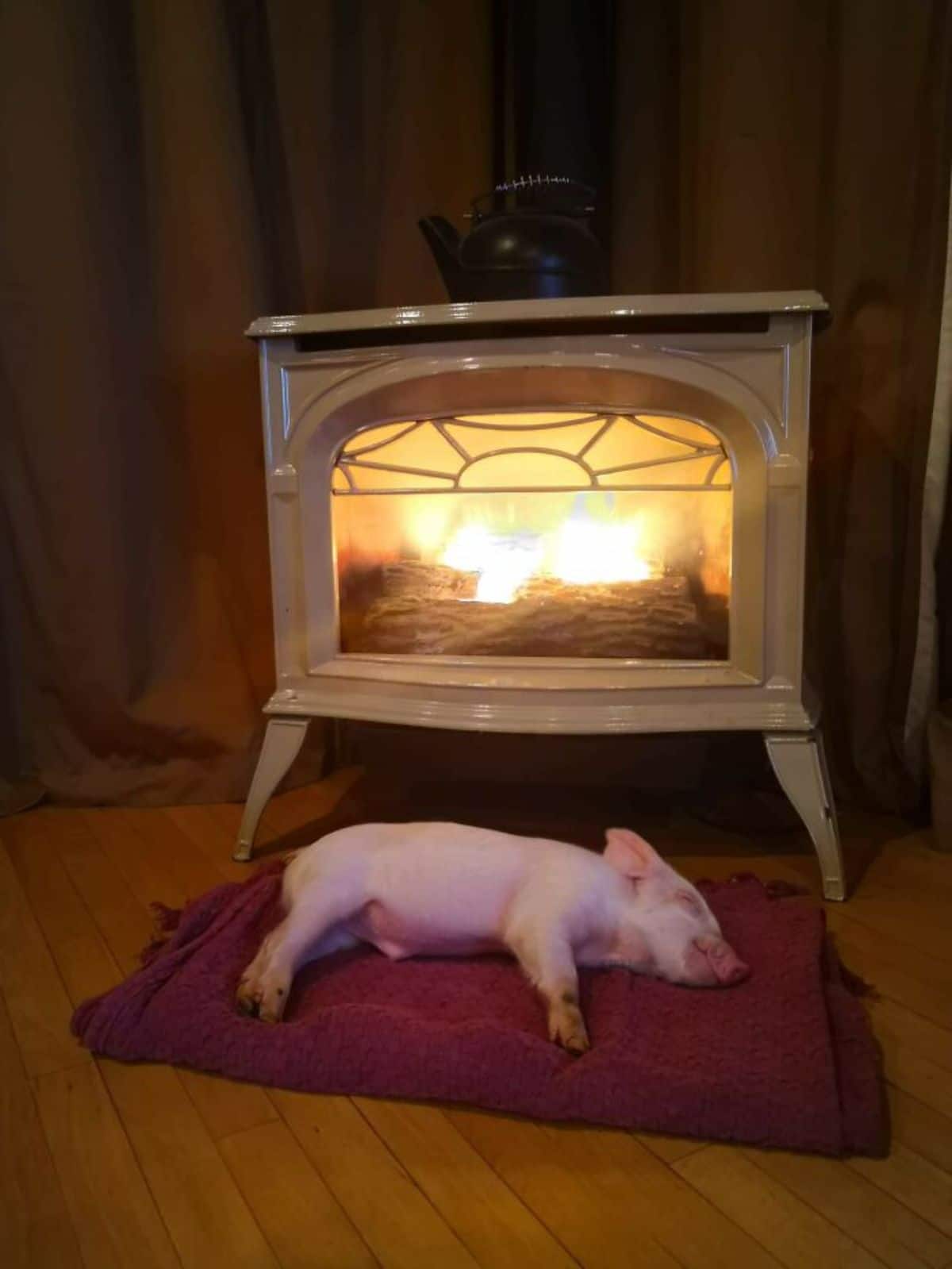 pink piglet sleeping on its side on a red blanket in front of a fire