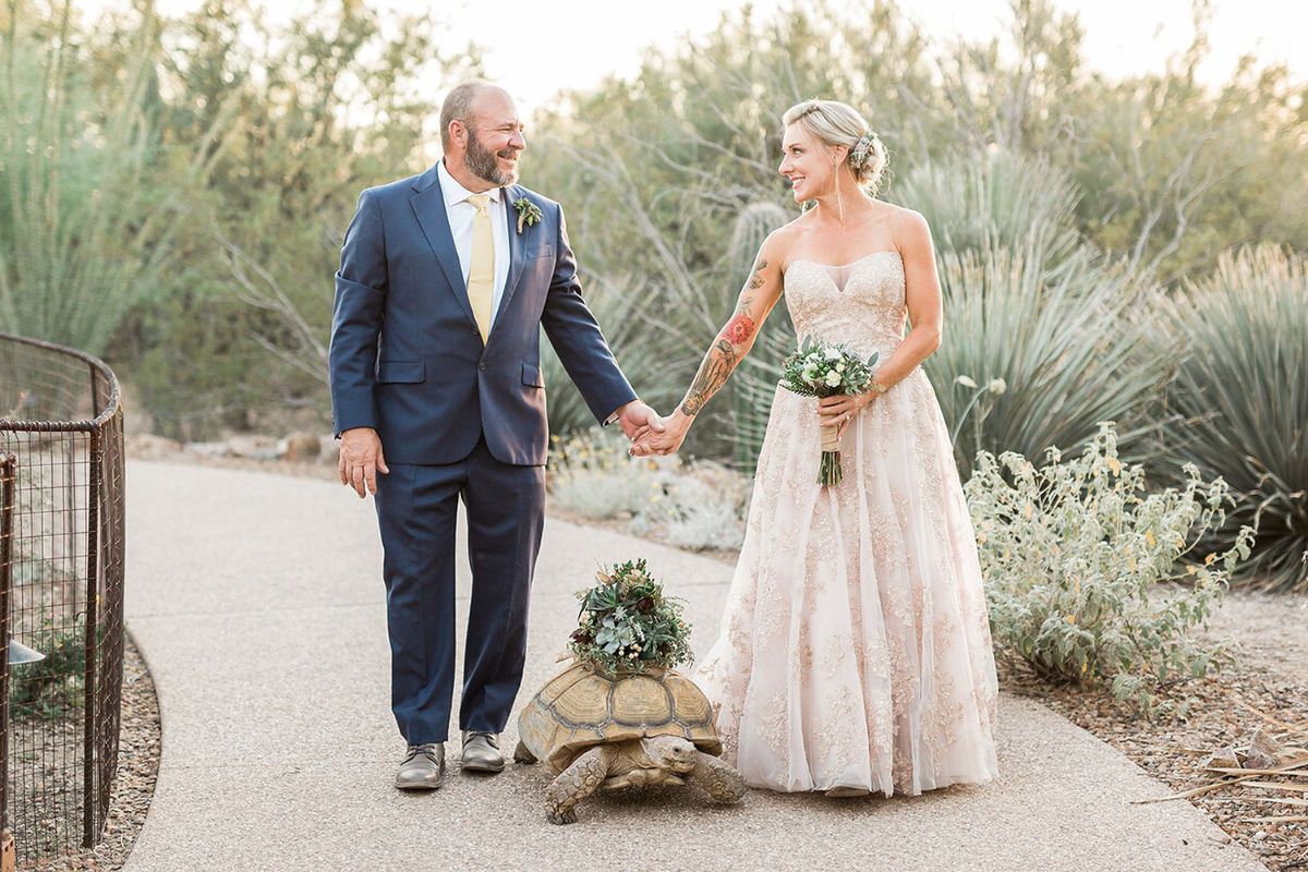 tortoise with a bouquet of flowers on its shell standing between a groom and a bride