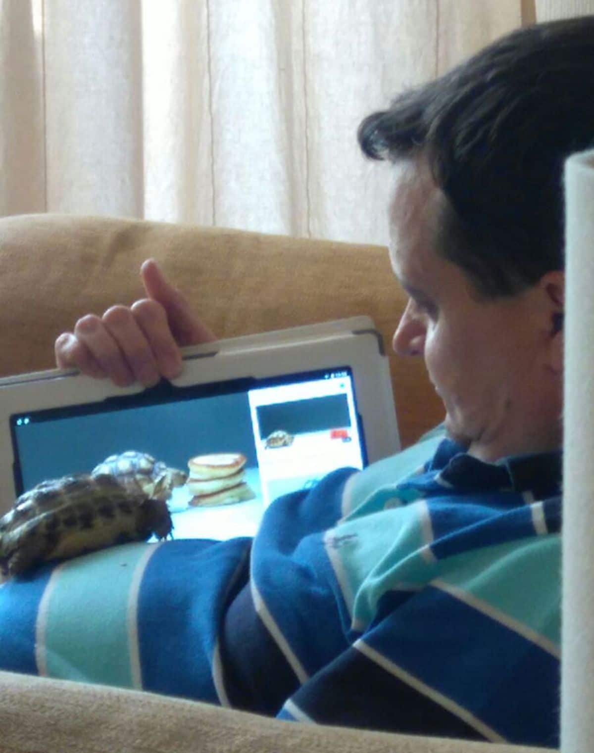 small tortoise standing on a seated man's stomach watching a laptop screen the man is showing it