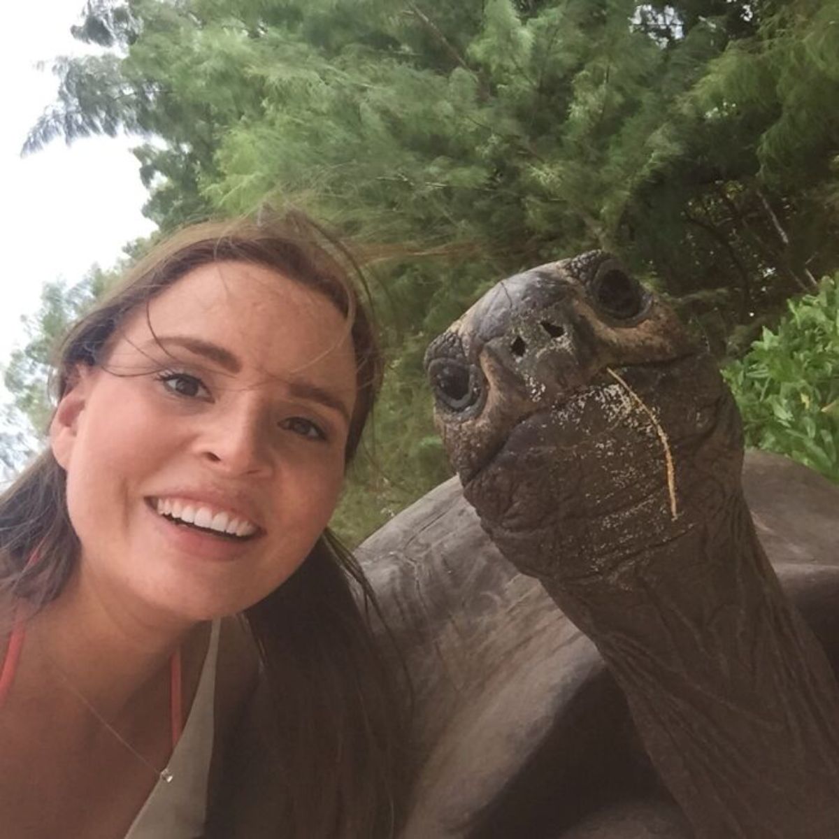 woman posing with a tortoise