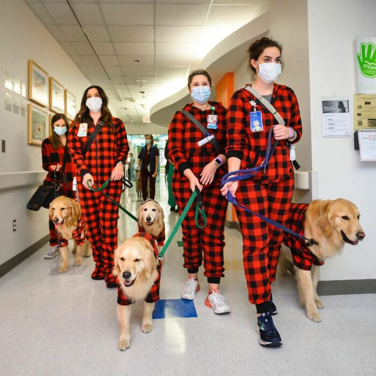4 women in red and black checkered jumpsuits walking down a hospital hallway with 4 golden retrievers on leashes