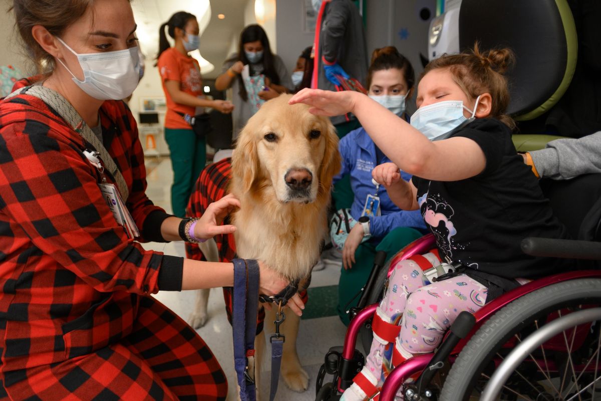 little girl in a wheelchair petting a goldn retriever with a woman and other children in the room