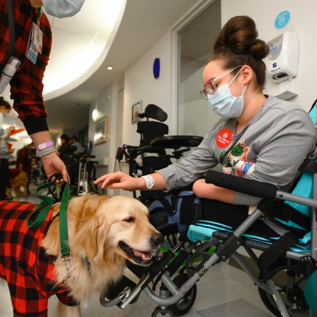 young girl in a wheelchair petting a golden retriever in a hospital hallway
