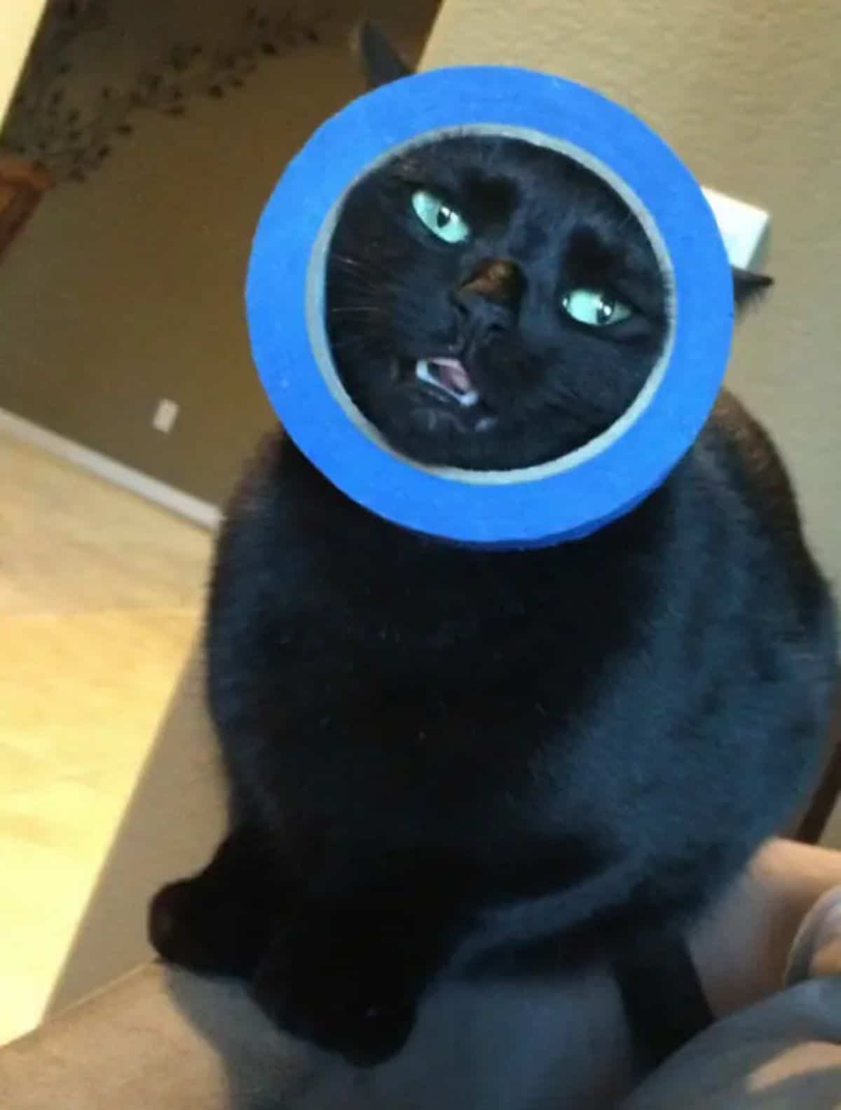 black cat sitting with the face stuck in a roll of blue tape