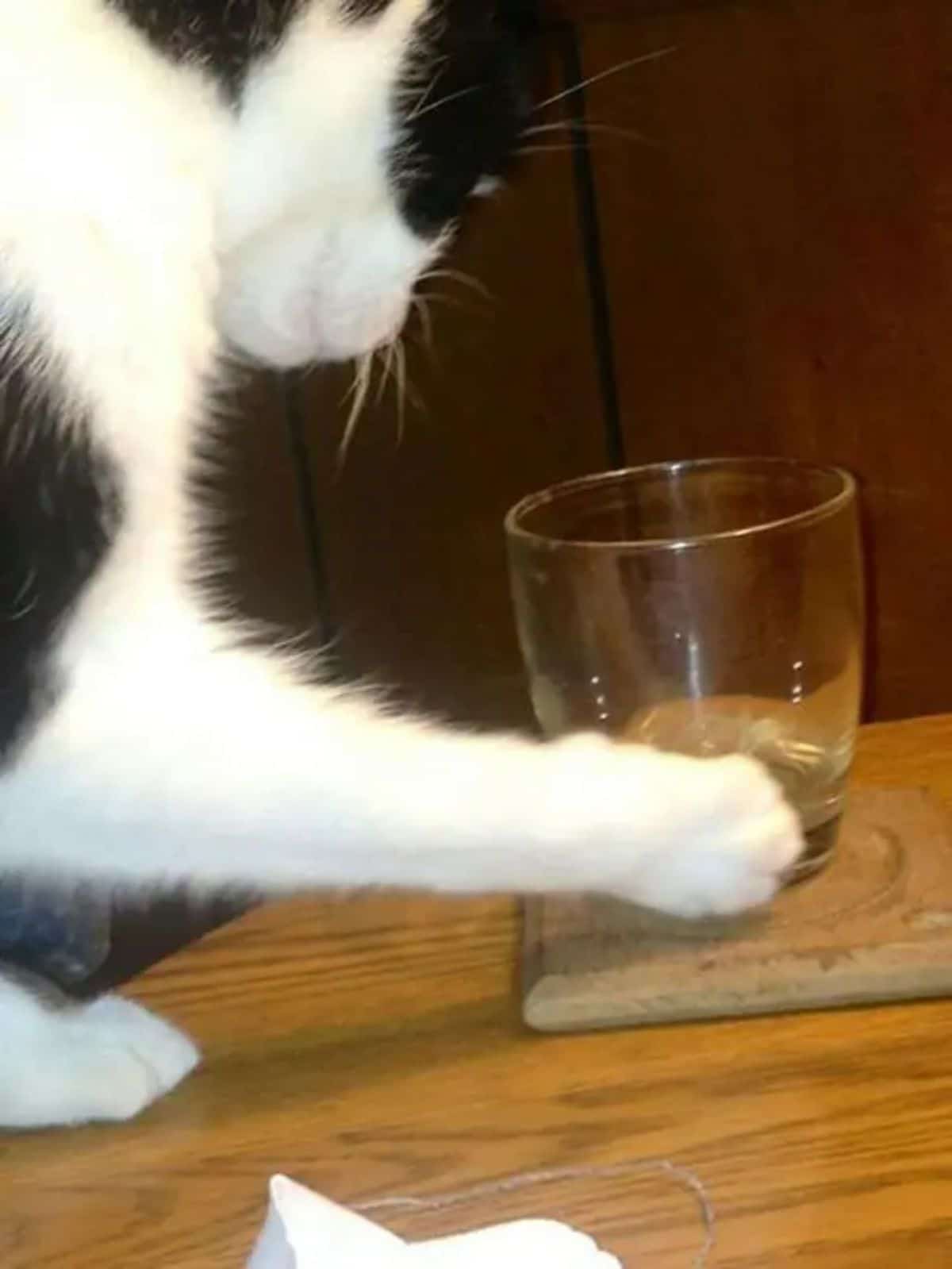 black and white cat on a wooden table swatting at a glass on a brown coaster