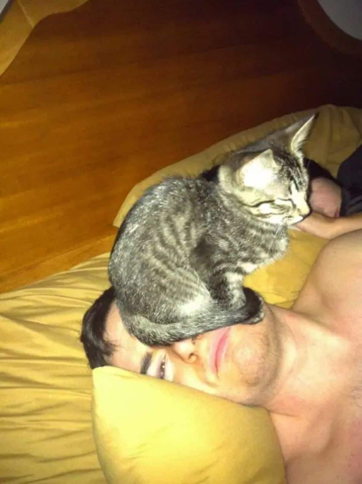 grey tabby kitten sitting on a man's face