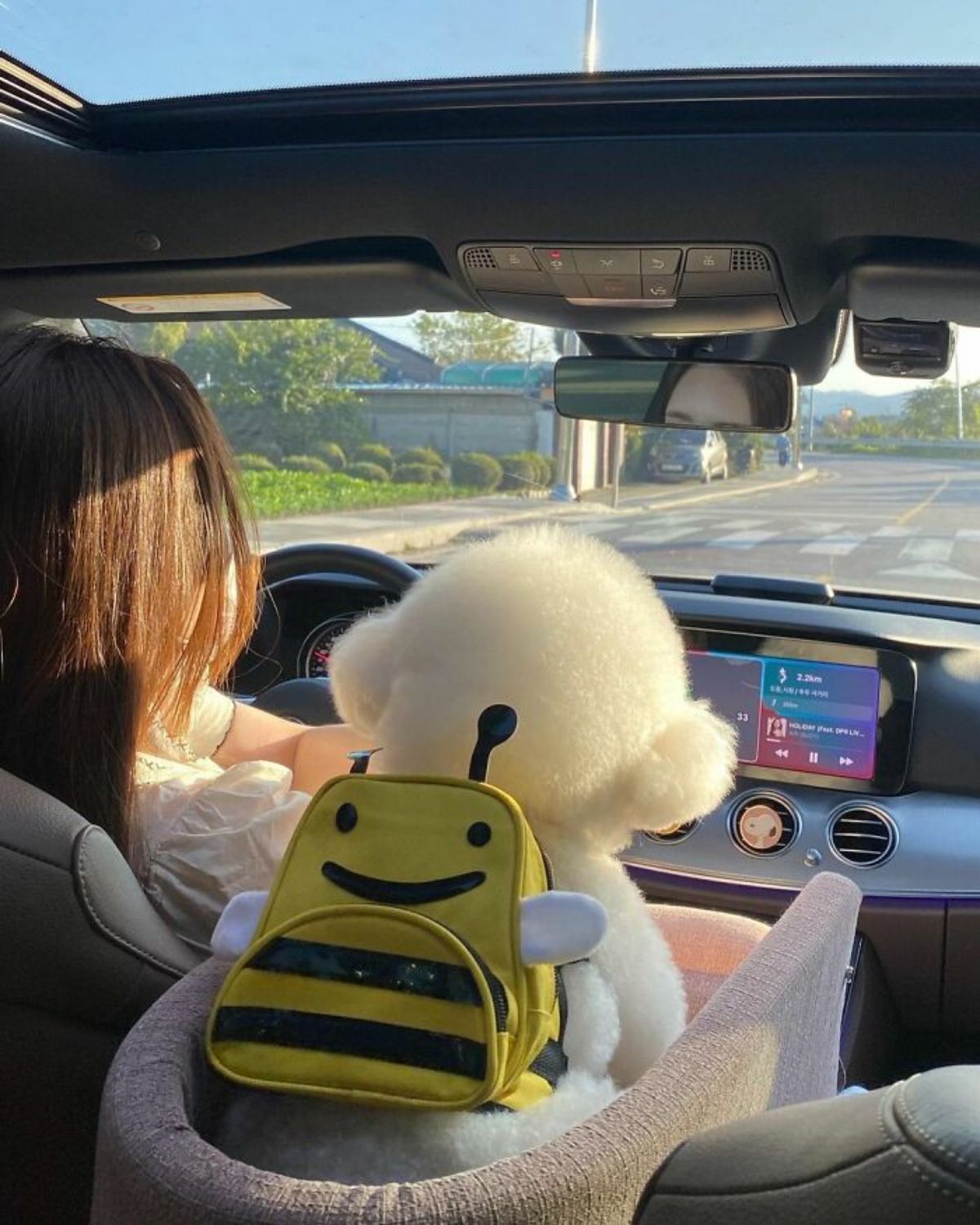 small fluffy white dog in a pastel basket between the driver and passenger seat wearing a yellow and black bee backpack next to a woman driving