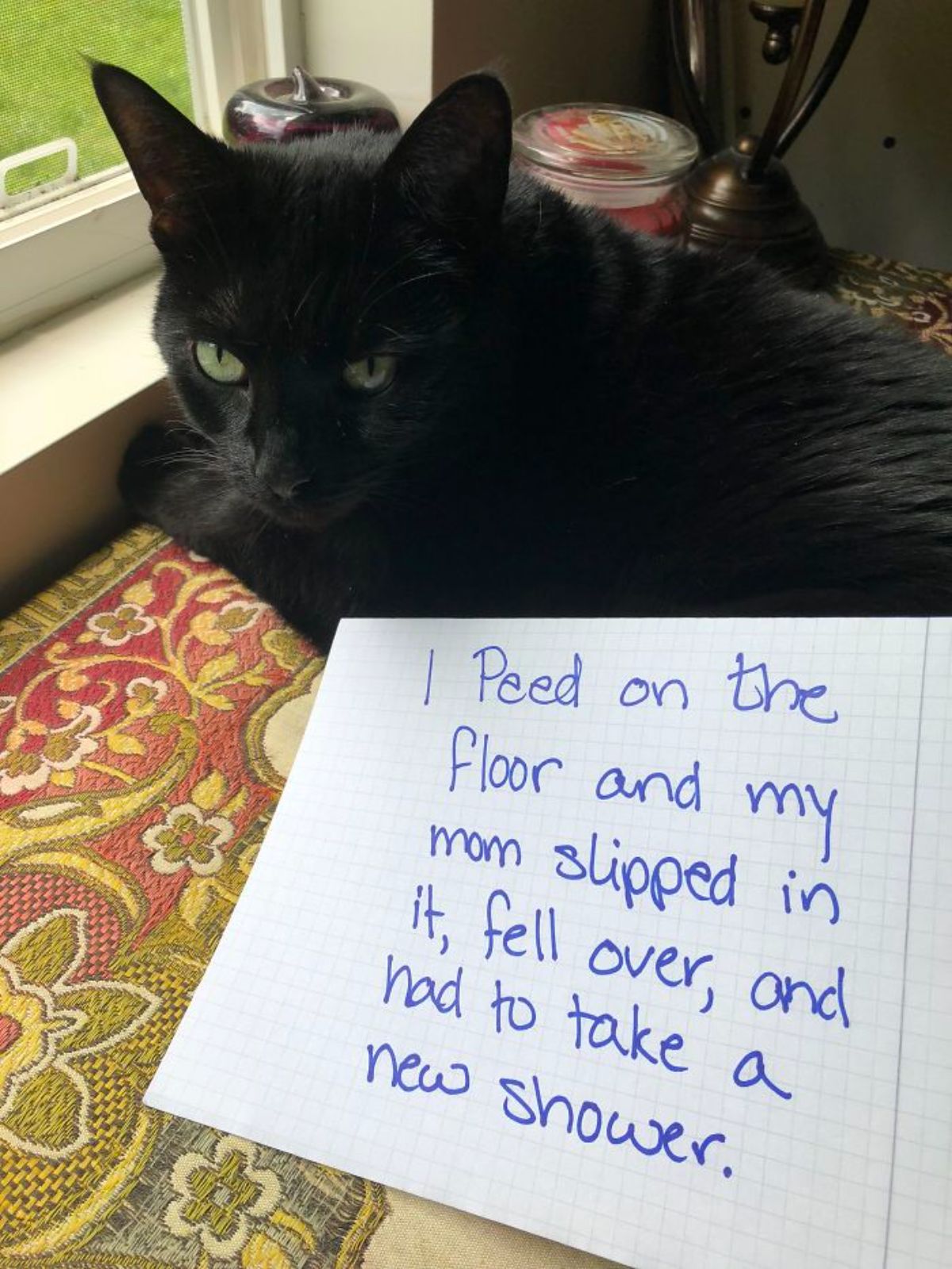 black cat laying on a cushion by the window with a note saying the cat peed on the floor and her mom slipped on it and had to take a new shower