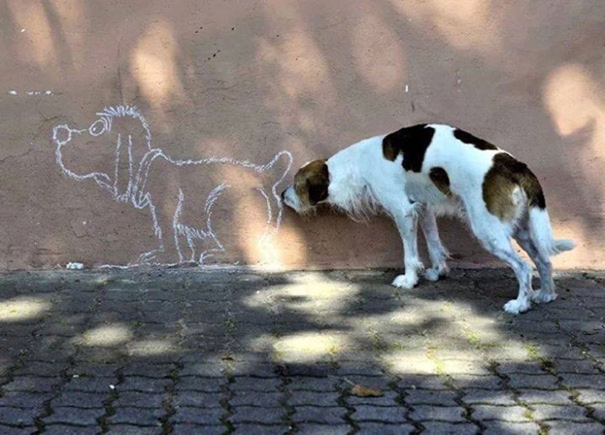 brown and white dog sniffing the butt of a white dog outline on a brown wall