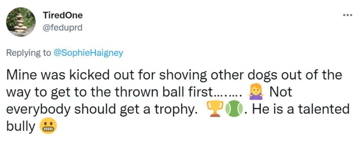 a tweet saying their dog was kicked out for shoving other dogs to get to the thrown ball first