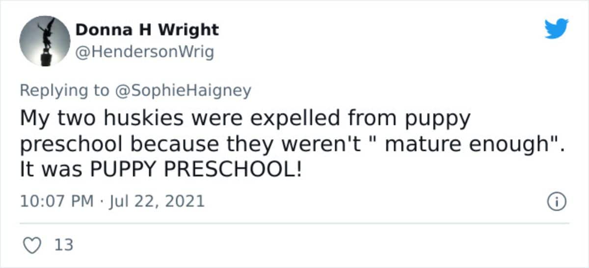 a tweet saying their two huskies were kicked out from puppy preschool for not being mature enough