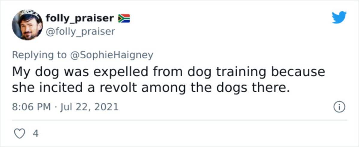a tweet saying the dog was expelled for inciting a revolt among the dogs
