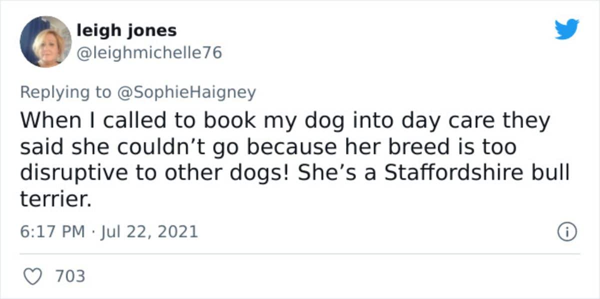 a tweet saying their staffordshire bull terrier was a breed that disrupted other dogs