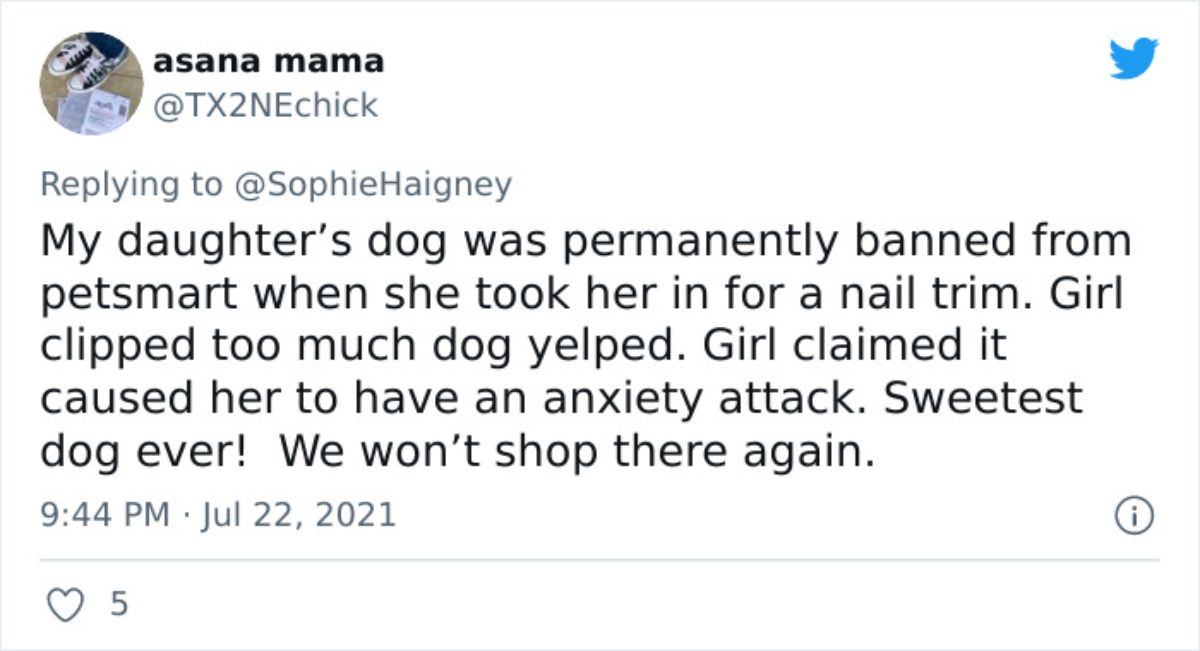 a tweet saying the dog yelped while getting a nail trim giving the woman an anxiety attack