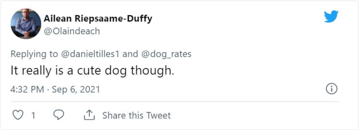 a tweet saying It really is a cute dog though