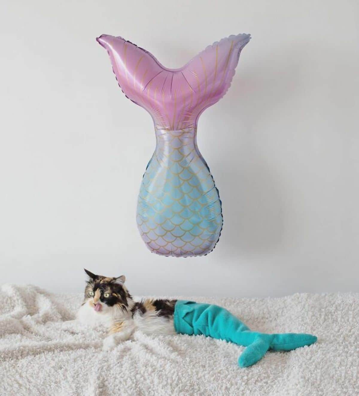 white black and orange cat sitting on a white blanket wearing blue mermaid tail with a pastel mermaid tail balloon hanging over her