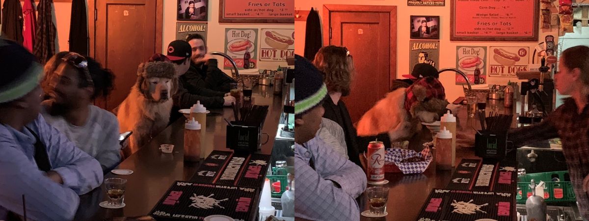 2 photos of a golden retriever wearing a brown hat sitting on a stool at a bar surrounded by people