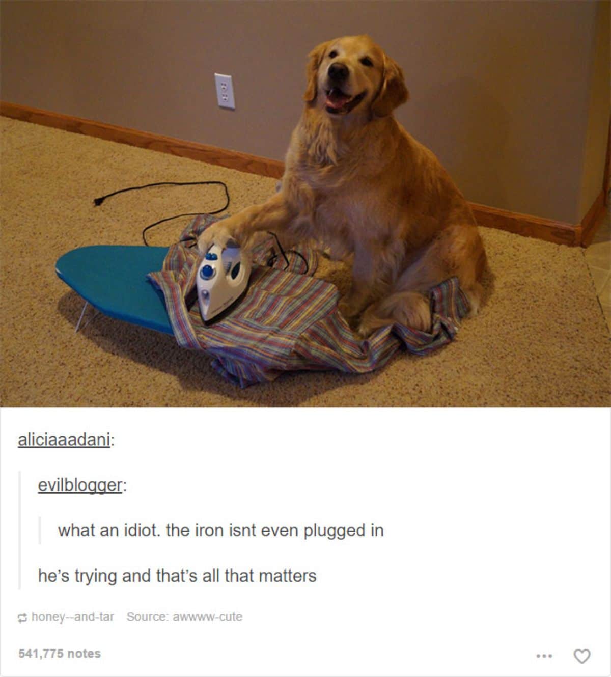 golden retriever putting a paw on an unplugged iron thats on a shirt on a small blue ironing board on the floor