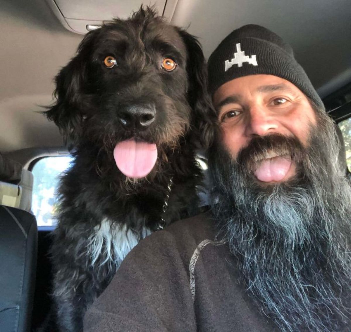 black and white dog inside a car with tongue out next to a man who has his tongue out to match