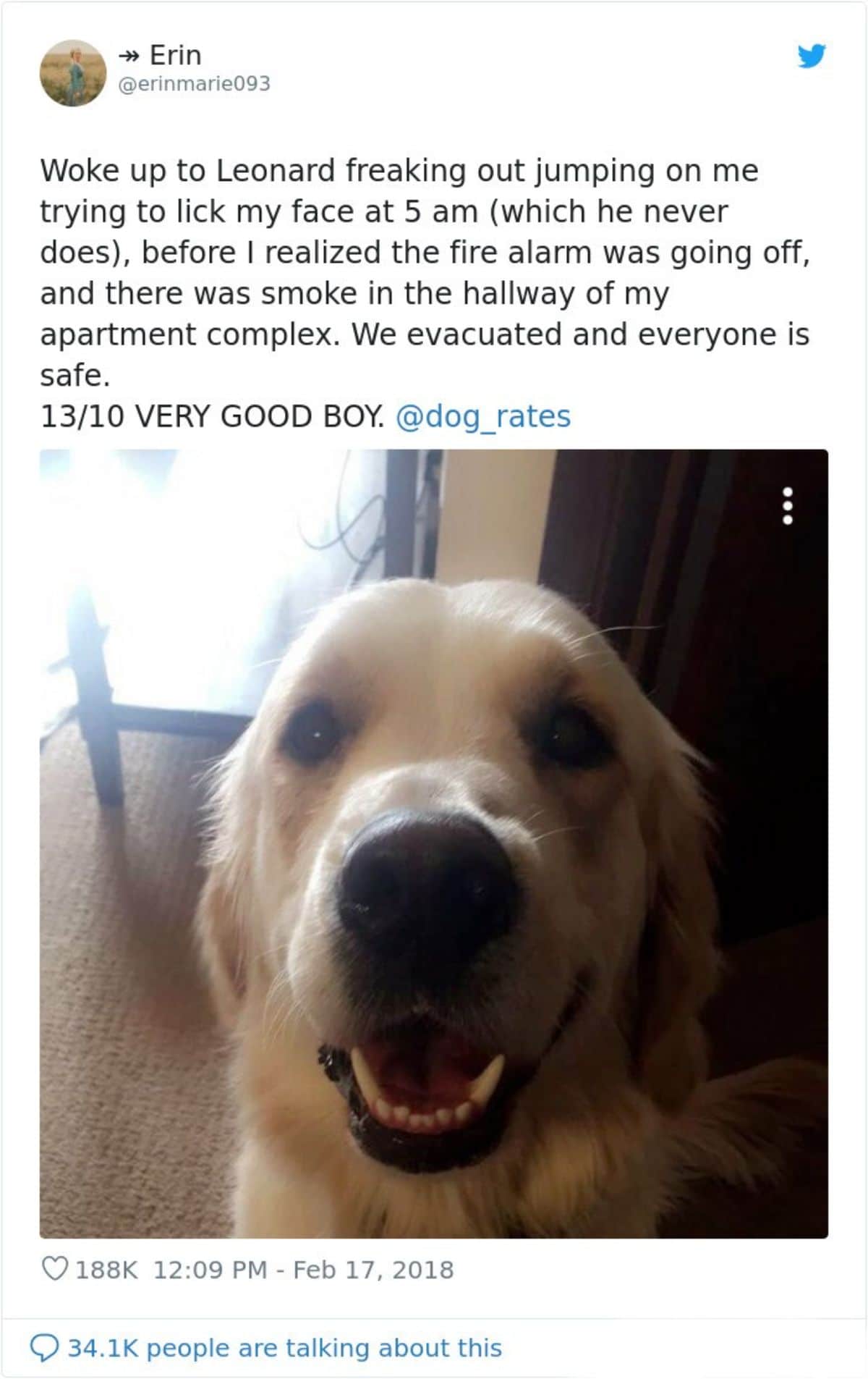tweet saying the golden retriever in the photo woke them up early morning and saved them from a fire