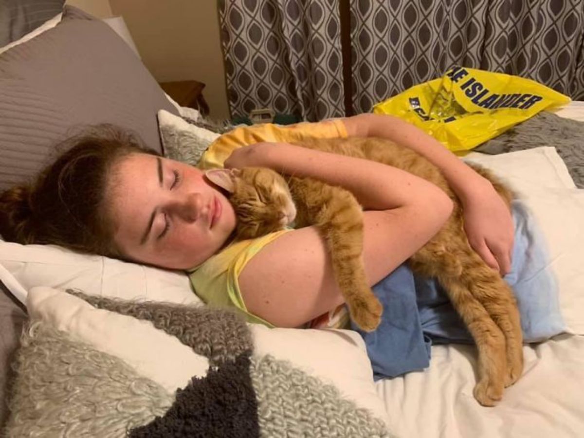 orange cat laying and sleeping on a young girl who is sleeping on a bed and she is hugging the cat