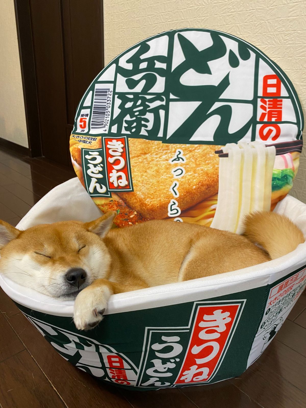 brown and white shiba inu sleeping in a green white and red dog bed with lid printed with Japanese food labels