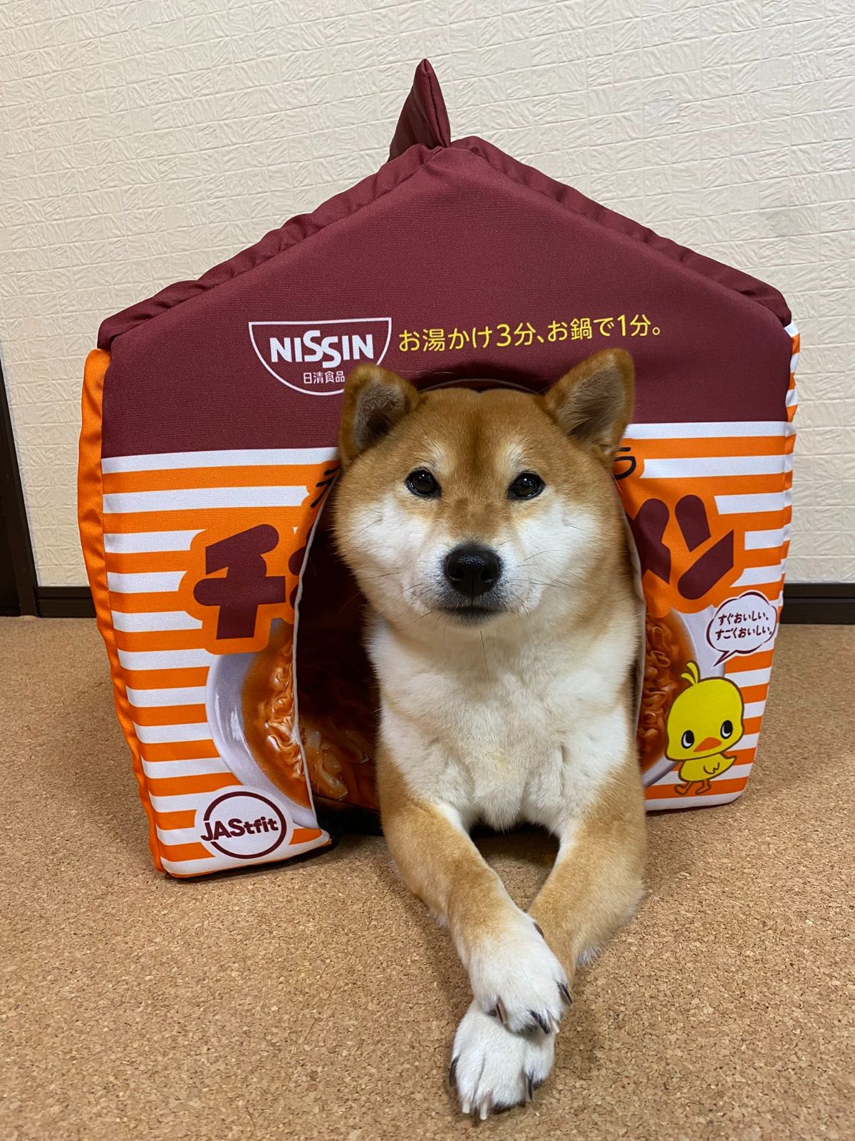 brown and white shiba inu laying in a brown white and orange dog house with noodle print with the head and front legs sticking out