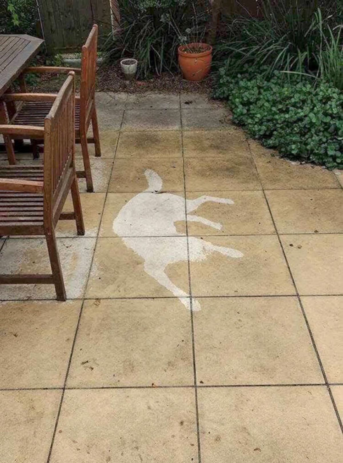 photo of wet white tile in a patio with a dry spot in the shape of a dog laying down