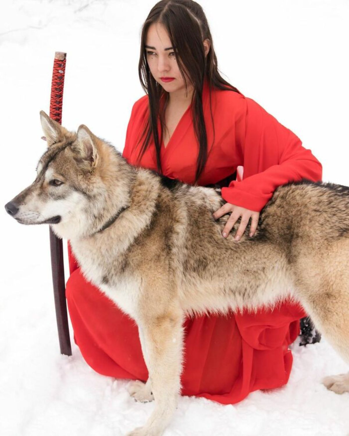 wolf standing in snow next to a woman wearing red holding a sword in the snow facing left