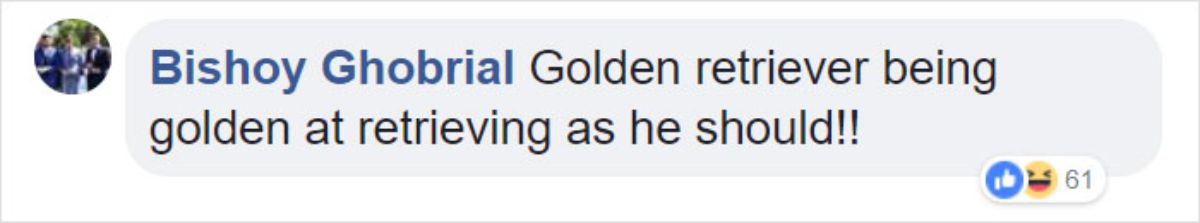 facebook comment by bishoy ghobrial saying golden retriever being golden at retrieving as he should!
