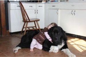young-girl-cuddling-her-dog-on-kitchen-floor